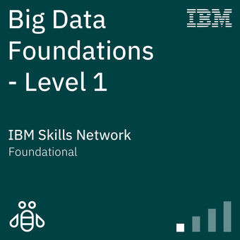 IBM Big Data Badge